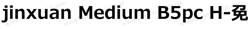 jinxuan Medium B5pc H字体转换